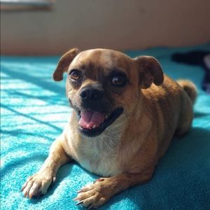 Meet your Posher, Paola